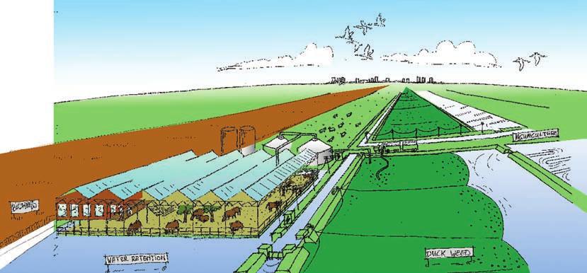 Bij de grote omslag die van de sector wordt gevraagd, is juíst de verbinding met de boeren van belang.