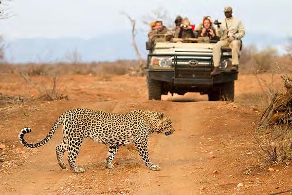 Namiddag; safari rit op Maseke reservaat Chacma Bush Camp wordt je uitvalsbasis voor het echte en pure safari-gedeelte van je reis.