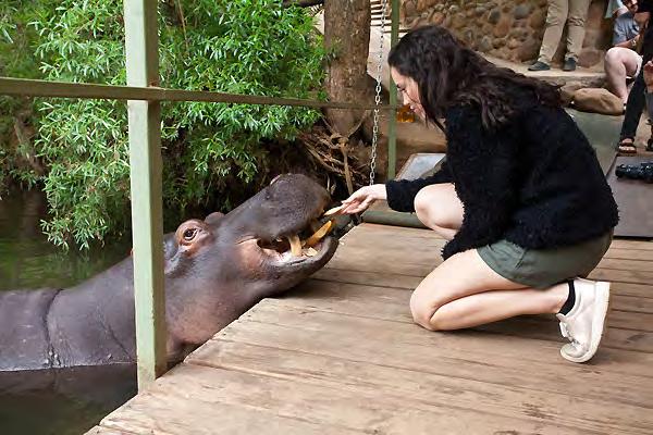 Namiddag; bezoek aan Jessica The Hippo Jessica is zowat het meest gekende dier ter wereld; er zijn al meer dan 100 reportages van haar gemaakt.