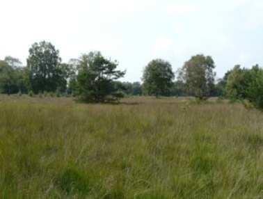 Het natuurgebied van 130 hectare ligt bij Enschede en bestaat uit heide, schraalland, heischraalgrasland, bos en grasland.