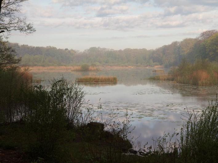 de Bunkers bestonden uit aarden wallichamen die opgeworpen werden met zand uit de omgeving. Op deze plek zijn hiervoor geulen gegraven die nu nog als watergaten terug te vinden zijn.