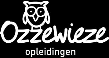 2. EHBO voor vraagouders en andere belangstellenden Ook jullie hebben de mogelijkheid om binnen ons gastouderbureau de cursus EHBO-voor kinderen te volgen.