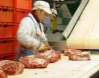 In Duitse vleesverwerkende bedrijven een arbeider werkt soms tot 60 uur per week tegen nauwelijks 3 EUR per uur tegenover 11.
