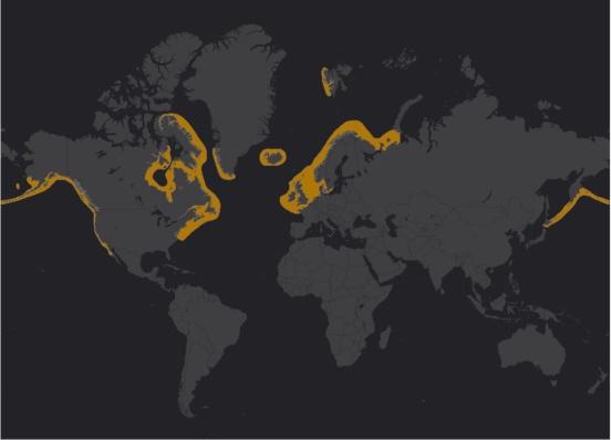 Leefgebied en verspreiding De Gewone zeehond komt in ons land meer voor dan de Grijze zeehond. Wereldwijd is het leefgebied van de Gewone zeehond groter dan dat van de Grijze zeehond.