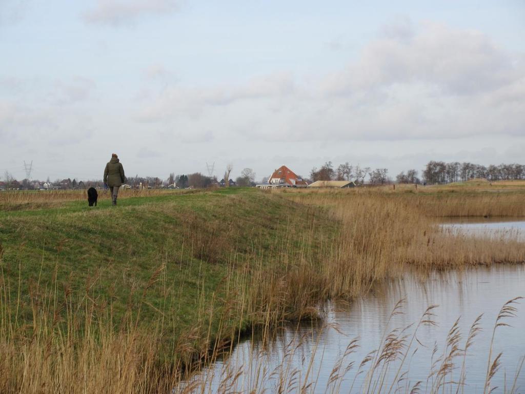 De Volgermeerpolder is een heerlijk hondenuitloopgebied. We doen dat met een wandeling die begint in Broek in Waterland dat ontstond aan het in 1628 drooggelegde Broekermeer.