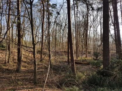 Verderop ligt het kruispunt waar we de Baarnseweg verlieten. 7. Op dat kruispunt gaan we rechtsaf.