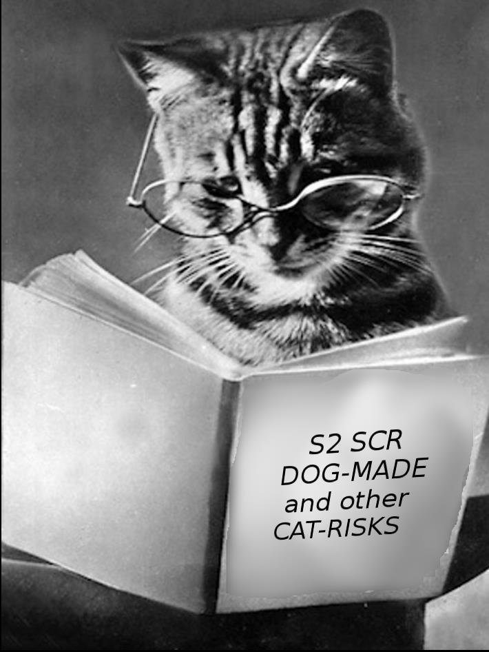 Verder kijken dan je SCR lang is Bent u er met de CAT-SCR volgens t boekje? 1. Uw catastrofe-risico s zitten goed in de SCR? 2.