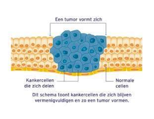 Wat gebeurt er bij (long)kanker?