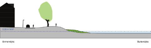 Module 1: Hoorn binnenstad Module 2: Strand Hoorn Module 3: Grote Waal en de Hulk Module 4: De Kogen over 5% van de lengte wordt 75-100% van de kruin afgegraven over 20% van de lengte wordt 10% van