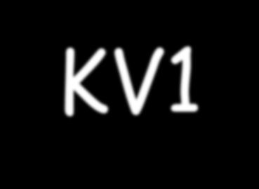 KV1- LO1-Mijleer1 Pakket 2-4-5 Kunstvakken 1 moet voldoende of goed zijn.