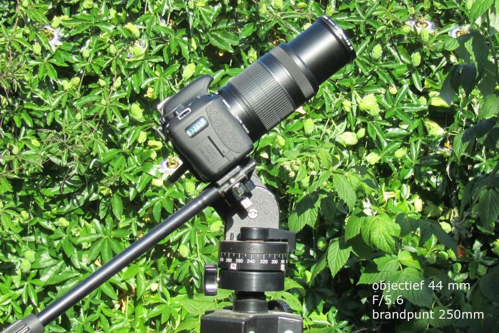 Standaard lens, vast statief Foto s gemaakt met EF-S 55-250 van Canon met