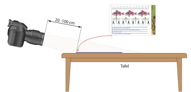 41 Zelf zet ik de camera meestal op Burst Mode als ik vissen fotografeer.