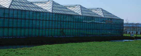 Glastuinbouw Glastuinbouw Glastuinbouwgebieden worden geconcentreerd, zodat een efficiënte, duurzame inrichting mogelijk is en verspreid glas gesaneerd kan worden.