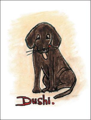 Stichting Dushi