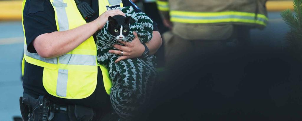 DIERENWELZIJN OP GEMEENTELIJK VLAK In elke stad en gemeente willen wij een schepen bevoegd voor dierenwelzijn, dat is vooralsnog te weinig het geval.