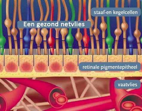 Uw arts heeft u voorgesteld een behandeling te ondergaan voor uw oogaandoening.