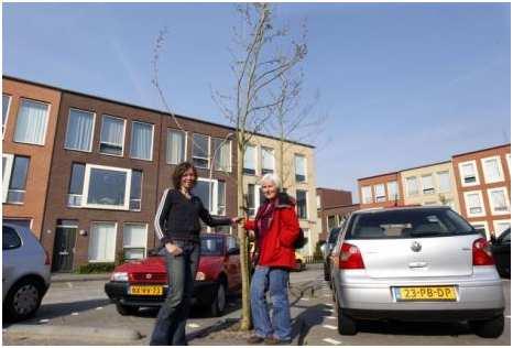 Uit De Stentor- 16 april 2011 Bewoners planten zelf bomen DEVENTER - Bewoners van de Klinkenbeltsweg in Deventer hebben zelf twee platanen geplant in hun straat.