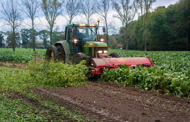 De fungiciden van Syngenta in bieten: ARMURE en SPYRALE Fungicide Armure & Spyrale Systemische fungiciden voor de teelt van suikerbieten zeer doeltreffend tegen witziekte, roest, Cercospora en