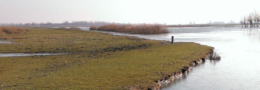 Wist u dat de hoeveelheid grondwater in onze provincie veel groter is dan de hoeveelheid oppervlaktewater in alle Friese meren en het Friese deel van het IJsselmeer en de Waddenzee bij elkaar