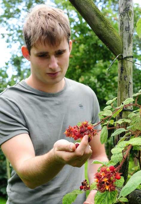 Hoi ik ben Jelle. Met die woorden worden bezoekers van de site makkelijkemoestuin.nl al sinds het prille begin verwelkomd. Tien jaar later is dat onveranderd gebleven.