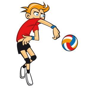 Toelichting speerpunten Organisatie optimalisatie Stimuleren jeugdvolleybal Als één van de grootse verenigingen van Nederland is een professionele organisatie (Bestuur, middenkader, trainers, coaches