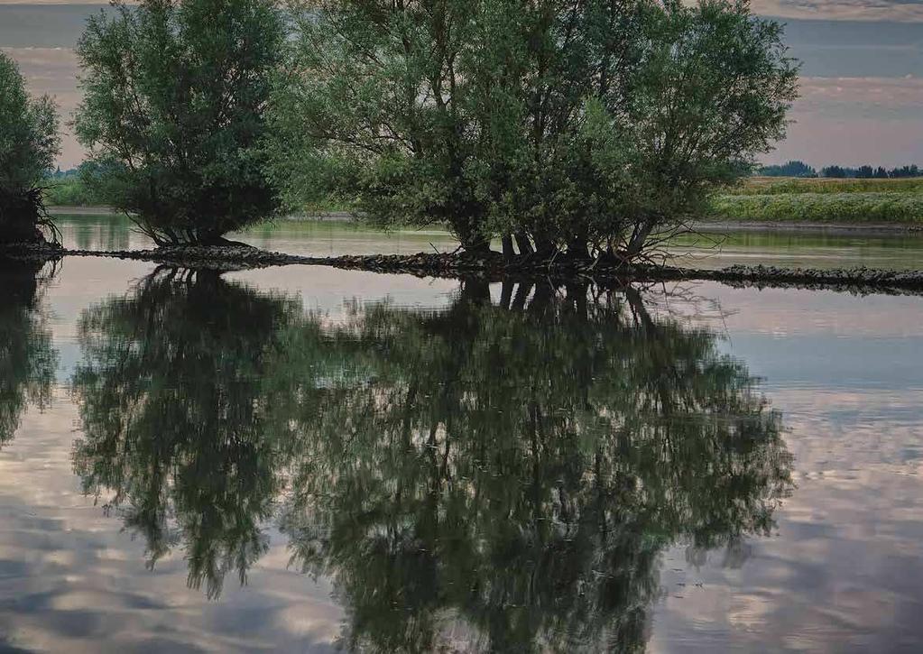 DIJKPOLDER beeldkwaliteitsplan