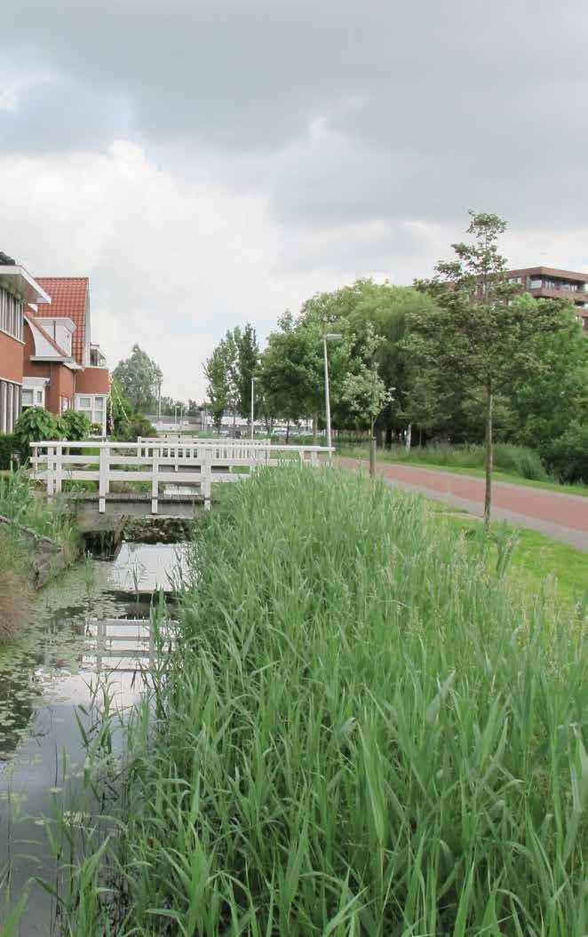 RICHTLIJNEN OPENBARE RUIMTE hoofdstuk 4 4.