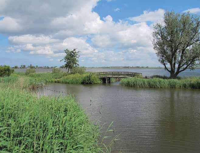 4.5 Groen De wegenstructuur van Dijkpolder definieert een aantal deelgebieden.