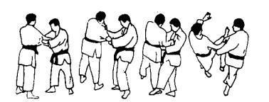 12. Tai otoshi lichaamsworp 13.