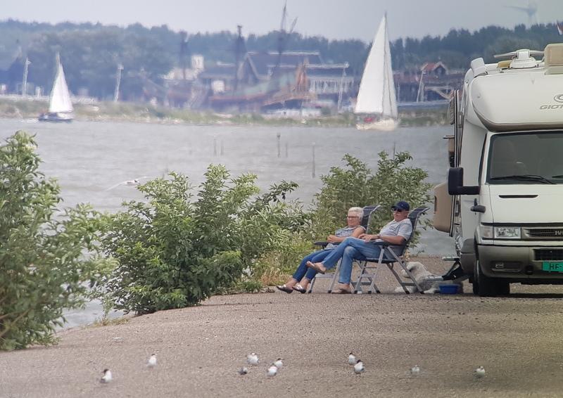 Hier kon je goed zien dat het water van de Oostvaardersplassen een