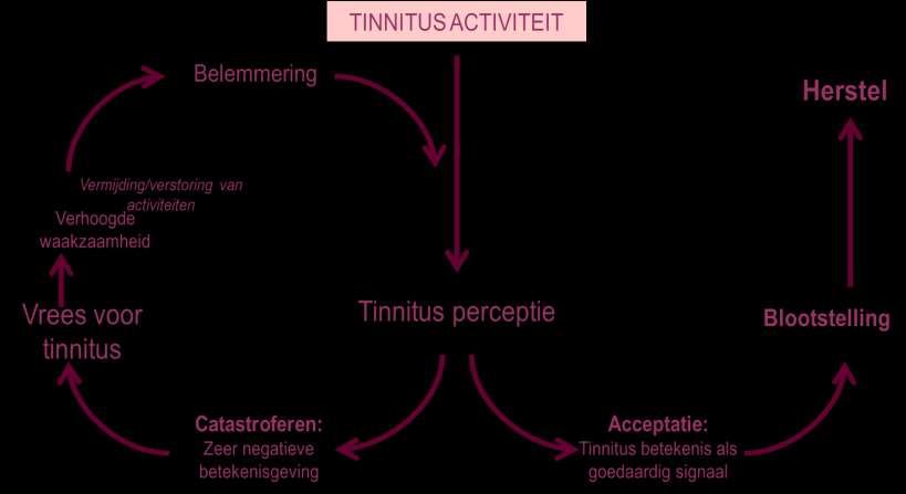 Het mechanisme Tinnitus klachten worden