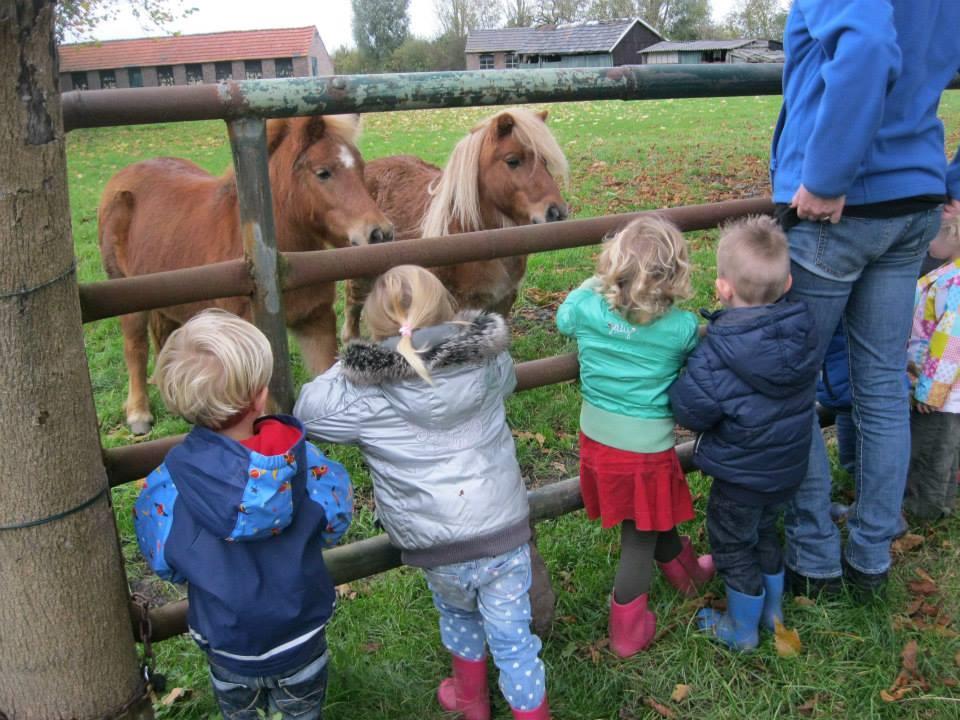 de leeftijd van 2 tot 4 jaar per dag opgevangen.