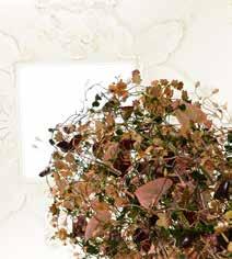 In alle stijlkamers van kasteel Groeneveld, maar ook buiten op het rondeel en in de tuin, presenteren toonaangevende bloemenarrangeurs hun kunstwerken, waaronder imposante Avalanche-rozen, exclusieve