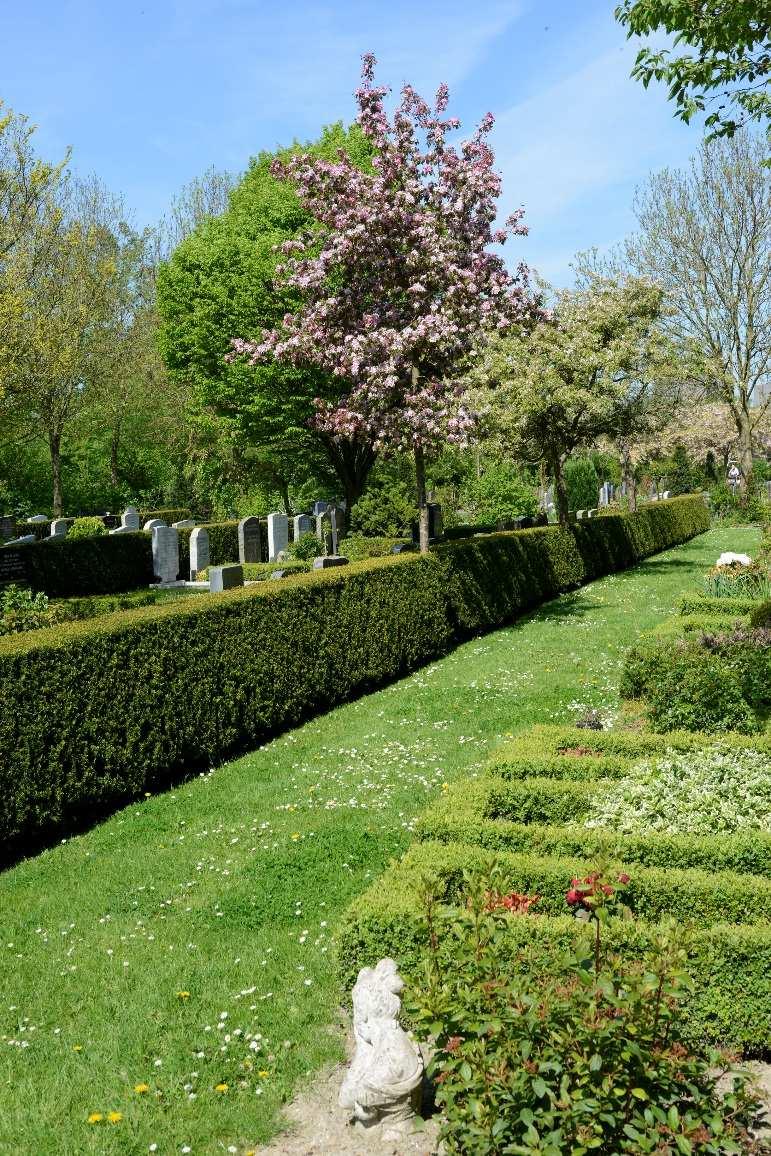 Samenvatting De burgemeester van de gemeente Middelburg is op grond van de Wet op de lijkbezorging (Wlb) verplicht voor een overledene die zich in de gemeente Middelburg bevindt een uitvaart te