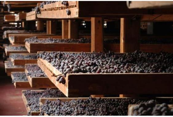 Amarone della Valpolicella - Druiven voor de Amarone wijnen staan op de meest kostbare grond.