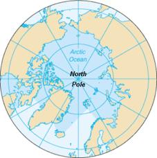 Op de Noordpool is het minder koud, de gemiddelde temperatuur is 's winters -30 C.