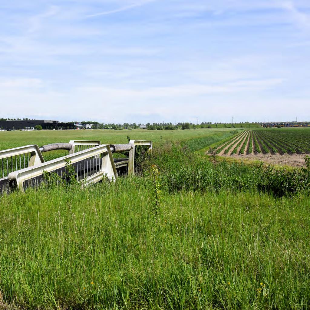 Een bijzondere wijk In het zuidoosten van Hoofddorp wil gemeente Haarlemmermeer samen met marktpartijen,