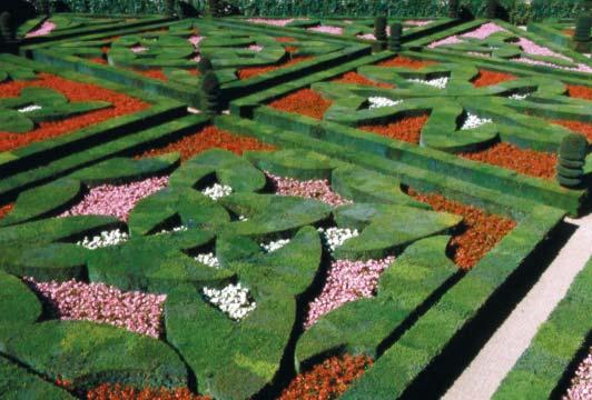 IN FORMELE PERKEN Van oudsher werden perken in formele Franse tuinen met eenjarigen en soms zelfs met eenjarige groenten als kolen beplant. In Engeland was Carpet Bedding erg populair.