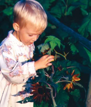 EN WAT ALS PROFESSIONELE HLP WENST? Niet iedereen heeft de tijd of de ervaring om zelf zijn bloembakken of tuinperken te beplanten met perkplanten.