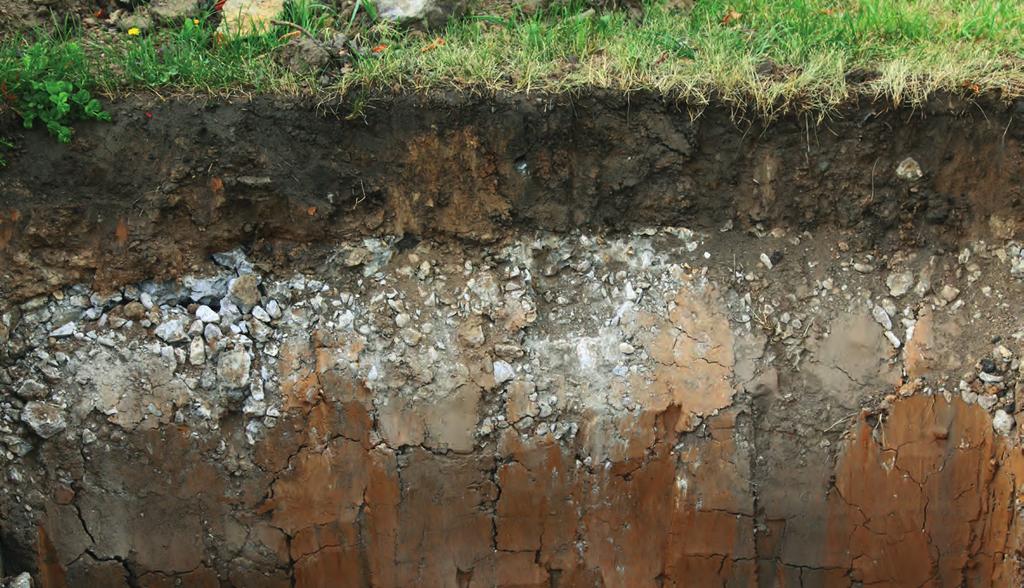 Belangrijk is dan te weten hoe de bodem in elkaar zit: Zijn er storende lagen? Wat is de structuur van de bodem? En hoe staat het met het bodemleven?