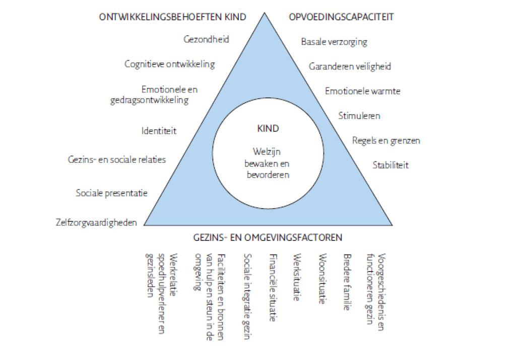 In bijlage 3 is de volledige checklist Veilig thuis? opgenomen. In een crisis dienen de jeugdzorgwerkers deze aandachtspunten te gebruiken bij het beoordelen van de veiligheid van de jeugdige.