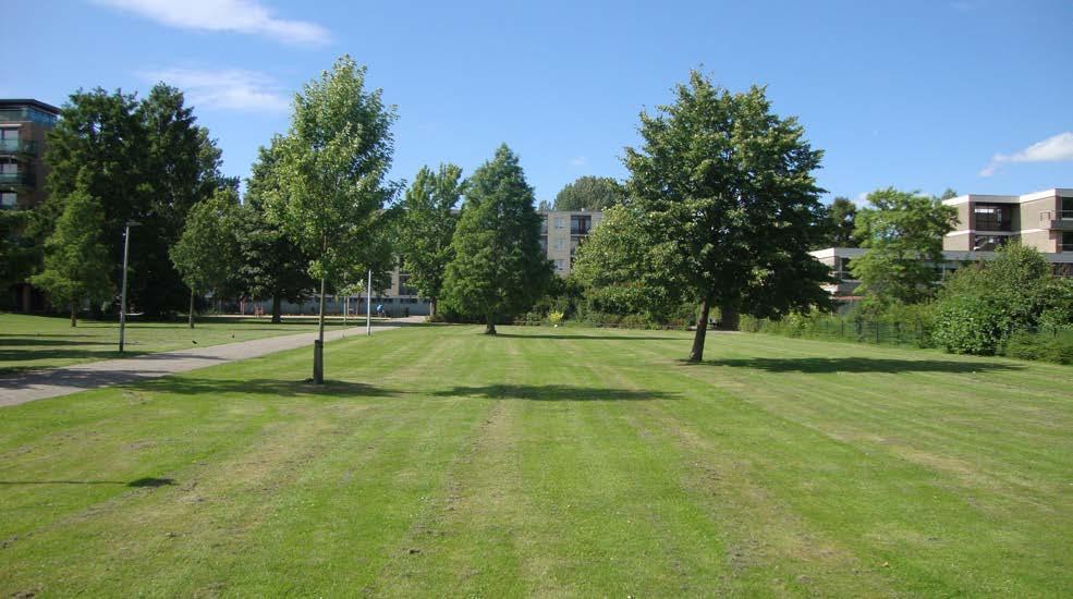 Het openbaar karakter van het park en de sfeer die wij willen creëren, speelt een rol bij die afweging.