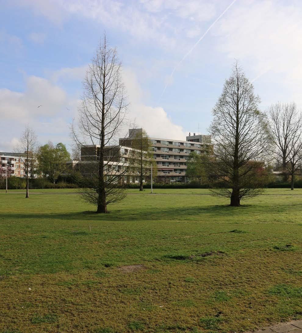 Als er geen hoge toren komt, hoeveel grond is er dan nodig? Antwoord: Dat zal die balans moeten zijn, zoals al door de gemeente in het begin is aangegeven. De nieuwbouw moet aansluiten op de omgeving.