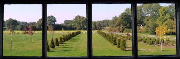 Hierdoor werd het mogelijk om een zichtas met tactus bomen te creëren die het