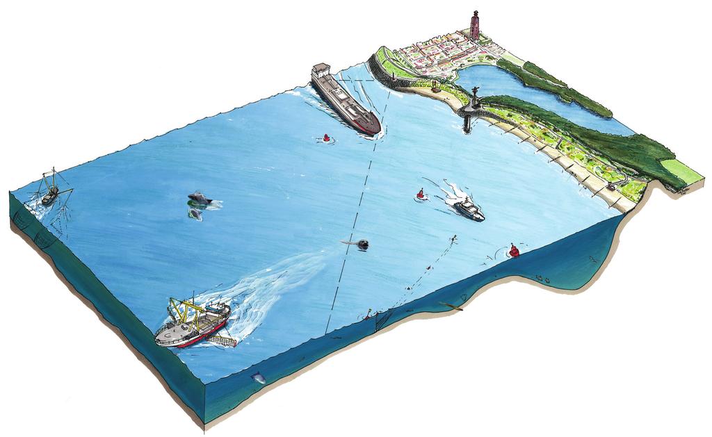 Beheerplan Voor de bescherming van de zeenatuur in de Vlakte van de Raan, heeft Rijkswaterstaat samen met het ministerie van Economische Zaken een beheerplan gemaakt.