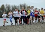 nl De Reeuwijkse Hout Cross is een onderdeel van de crosscompetitie