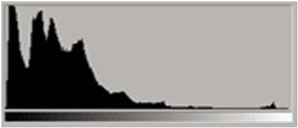 Histogram Onderbelichting (geen details in de zwarten) : De meeste pixels bevinden zich aan de linkerzijde, en lopen op tegen de