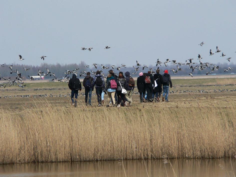 in de Eempolder