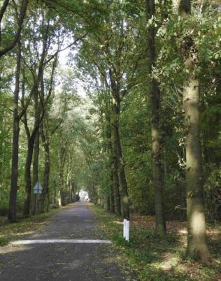 Effectbeoordeling De verstoringsafstand van een broedende Buizerd is minimaal 75 m bij de meeste activiteiten die onder ruimtelijke inrichting of ontwikkeling vallen.