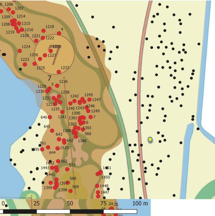 Het wandelpad dat door het bos met het haviknest loopt (groene lijn op rechterkaart figuur 2) en het nest